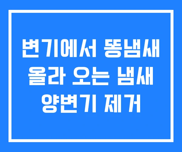 변기에서 똥냄새 올라 오는 냄새 양변기 제거