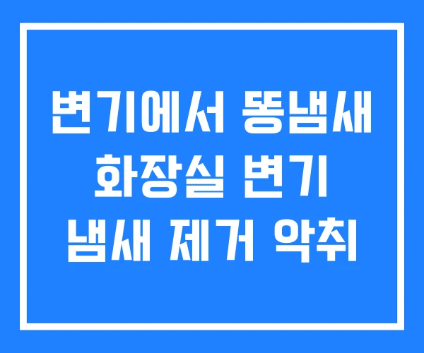 변기에서 똥냄새 화장실 변기 냄새 제거 악취