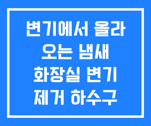 변기에서 올라 오는 냄새 화장실 변기 제거 하수구