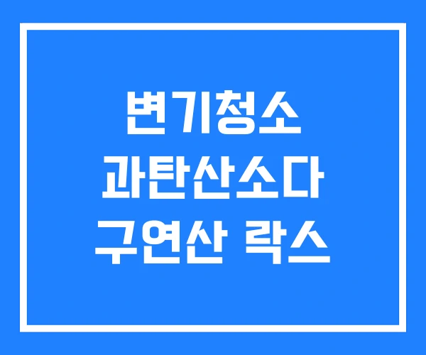 변기청소 과탄산소다 구연산 락스