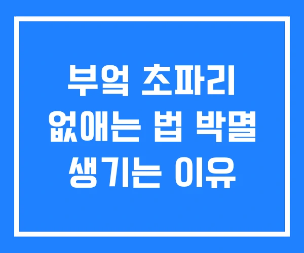 부엌 초파리 없애는 법 박멸 생기는 이유 부엌 초파리 없애는 법 박멸 생기는 이유