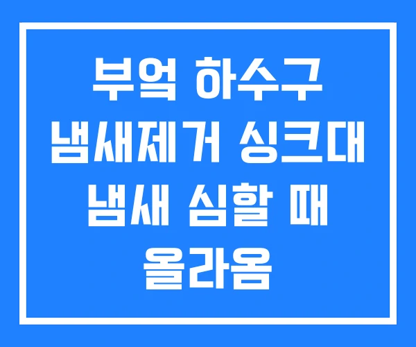 부엌 하수구 냄새제거 싱크대 냄새 심할 때 올라옴
