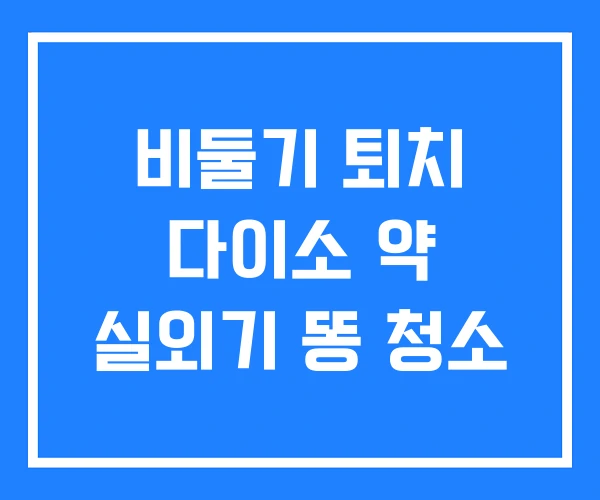 비둘기 퇴치 다이소 약 실외기 똥 청소