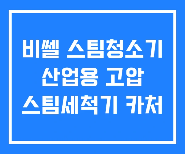 비쎌 스팀청소기 산업용 고압 스팀세척기 카처 비쎌 스팀청소기 산업용 고압 스팀세척기 카처