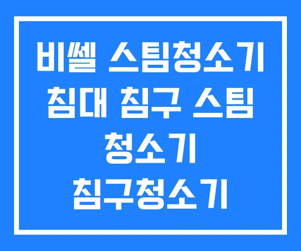 비쎌 스팀청소기 침대 침구 스팀 청소기 침구청소기