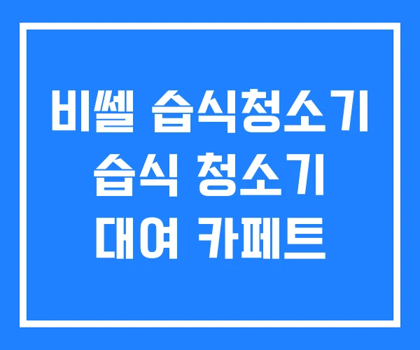 비쎌 습식청소기 습식 청소기 대여 카페트