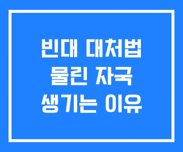 빈대 대처법 물린 자국 생기는 이유 빈대 대처법 물린 자국 생기는 이유
