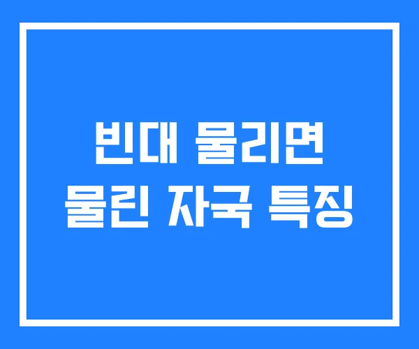 빈대 물리면 물린 자국 특징 빈대 물리면 물린 자국 특징