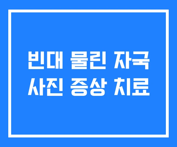 빈대 물린 자국 사진 증상 치료 빈대 물린 자국 사진 증상 치료