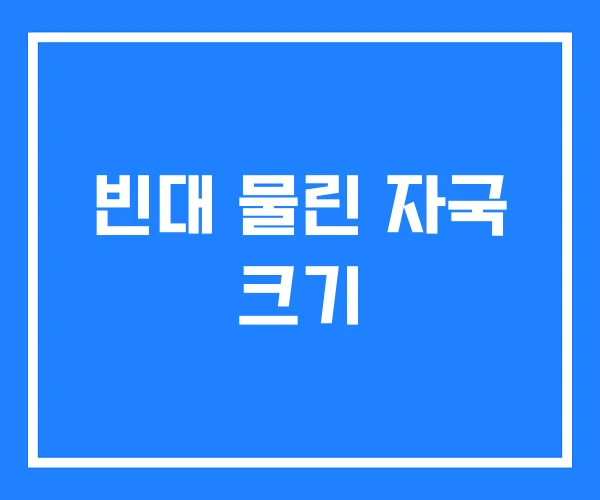 빈대 물린 자국 크기