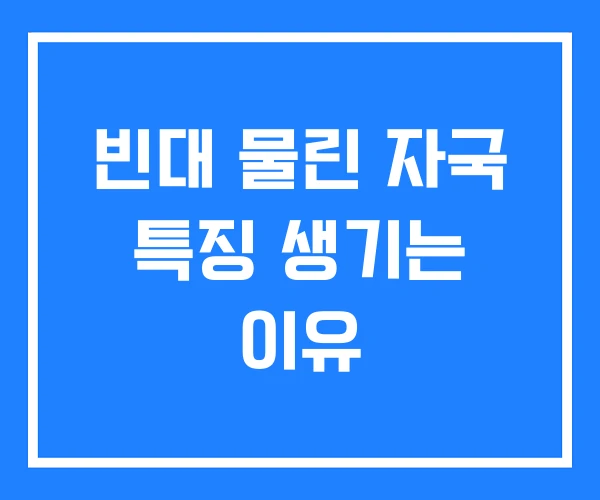 빈대 물린 자국 특징 생기는 이유