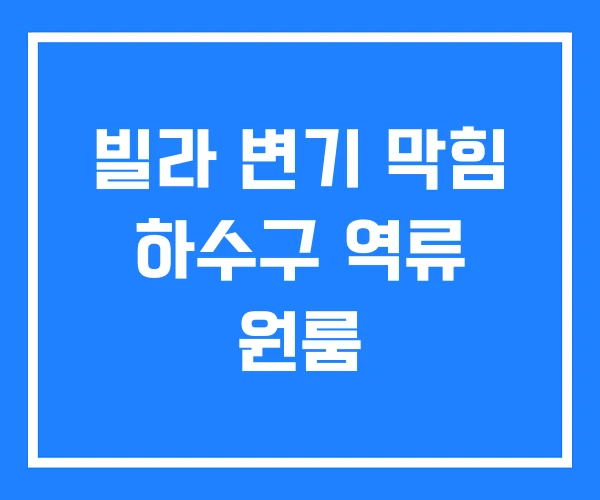 빌라 변기 막힘 하수구 역류 원룸 빌라 변기 막힘 하수구 역류 원룸