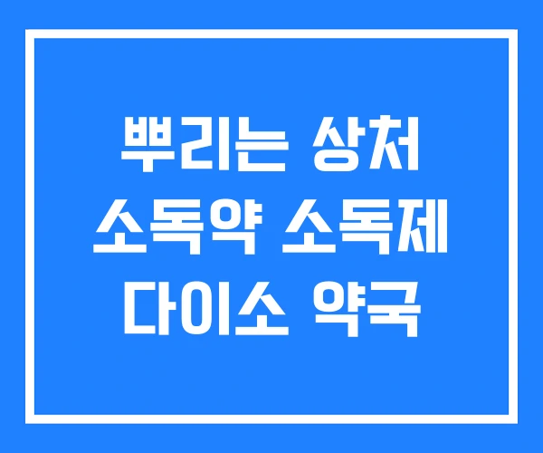 뿌리는 상처 소독약 소독제 다이소 약국