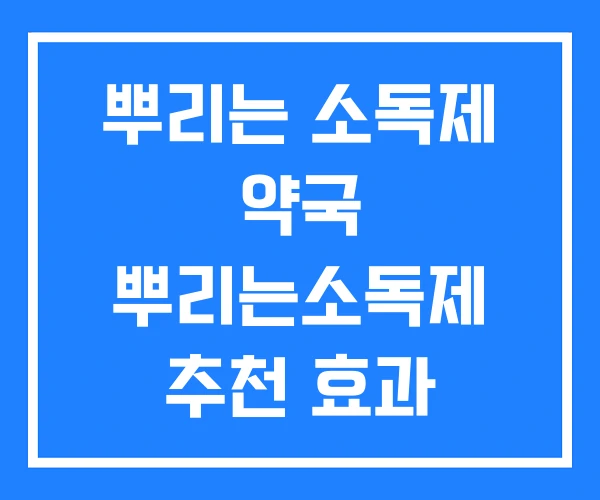 뿌리는 소독제 약국 뿌리는소독제 추천 효과
