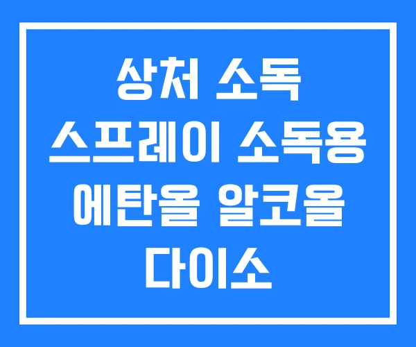 상처 소독 스프레이 소독용 에탄올 알코올 다이소 상처 소독 스프레이 소독용 에탄올 알코올 다이소