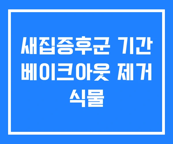 새집증후군 기간 베이크아웃 제거 식물 새집증후군 기간 베이크아웃 제거 식물