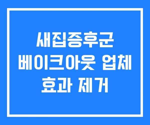 새집증후군 베이크아웃 업체 효과 제거 새집증후군 베이크아웃 업체 효과 제거