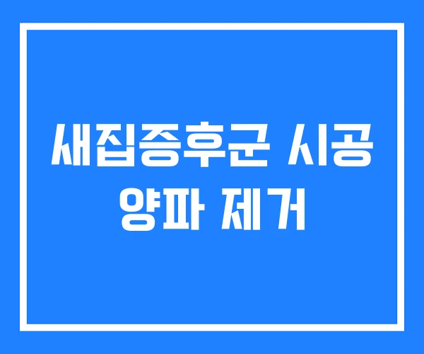 새집증후군 시공 양파 제거