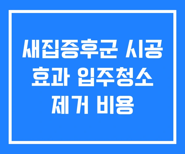 새집증후군 시공 효과 입주청소 제거 비용