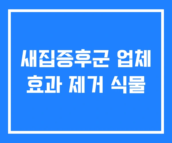 새집증후군 업체 효과 제거 식물