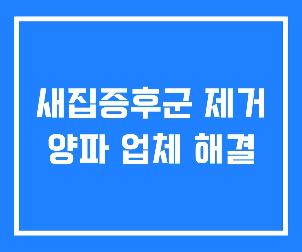 새집증후군 제거 양파 업체 해결