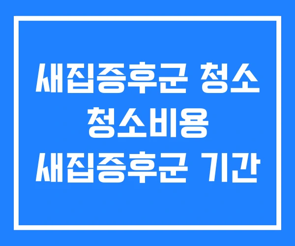 새집증후군 청소 청소비용 새집증후군 기간