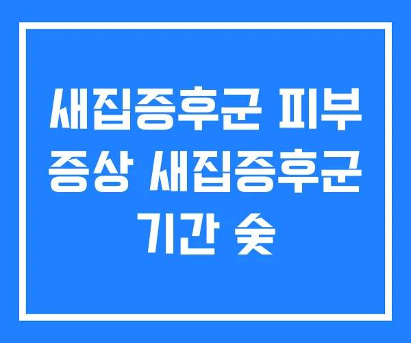 새집증후군 피부 증상 새집증후군 기간 숯 새집증후군 피부 증상 새집증후군 기간 숯