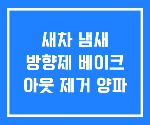 새차 냄새 방향제 베이크 아웃 제거 양파