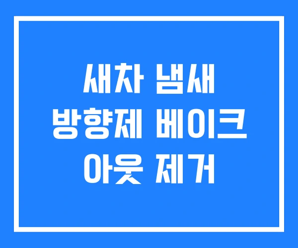 새차 냄새 방향제 베이크 아웃 제거 새차 냄새 방향제 베이크 아웃 제거