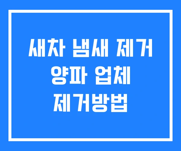 새차 냄새 제거 양파 업체 제거방법