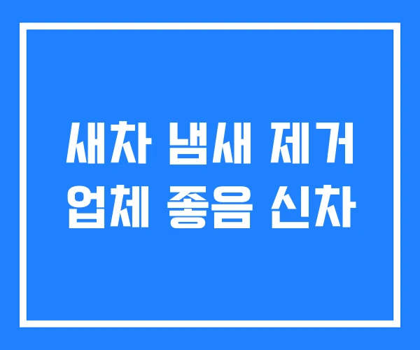 새차 냄새 제거 업체 좋음 신차