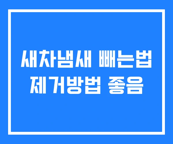 새차냄새 빼는법 제거방법 좋음 새차냄새 빼는법 제거방법 좋음