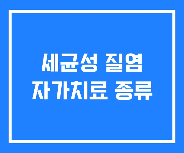 세균성 질염 자가치료 종류