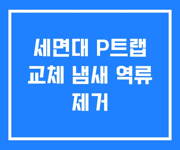 세면대 P트랩 교체 냄새 역류 제거 세면대 P트랩 교체 냄새 역류 제거