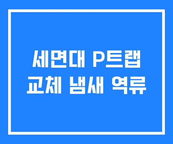 세면대 P트랩 교체 냄새 역류 세면대 P트랩 교체 냄새 역류