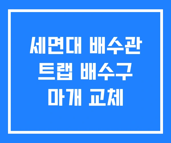 세면대 배수관 트랩 배수구 마개 교체 세면대 배수관 트랩 배수구 마개 교체