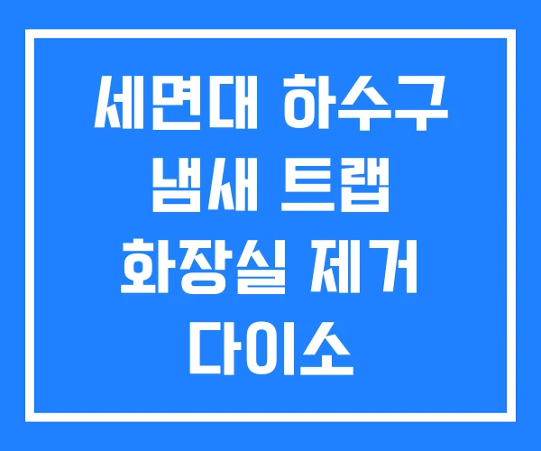 세면대 하수구 냄새 트랩 화장실 제거 다이소