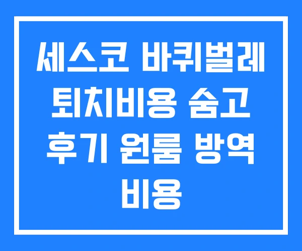 세스코 바퀴벌레 퇴치비용 숨고 후기 원룸 방역 비용