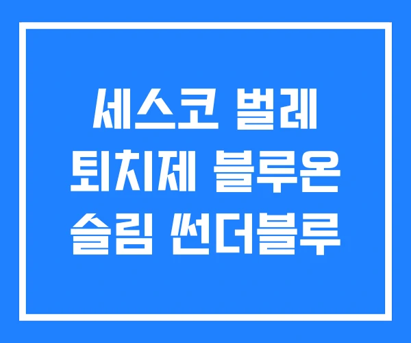 세스코 벌레 퇴치제 블루온 슬림 썬더블루