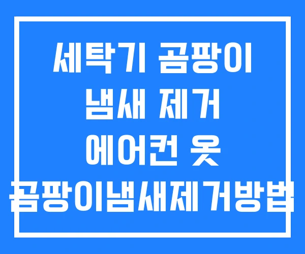 세탁기 곰팡이 냄새 제거 에어컨 옷 곰팡이냄새제거방법