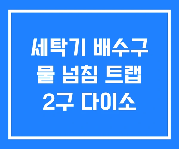 세탁기 배수구 물 넘침 트랩 2구 다이소