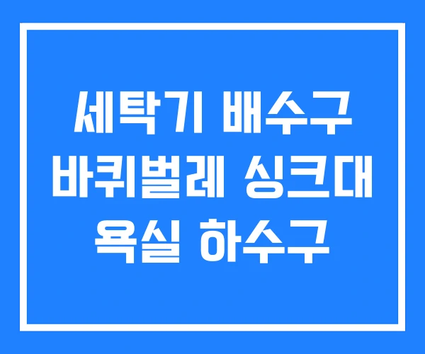 세탁기 배수구 바퀴벌레 싱크대 욕실 하수구