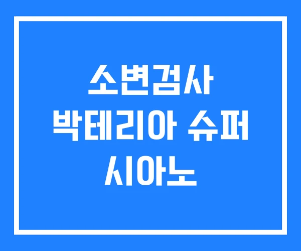 소변검사 박테리아 슈퍼 시아노