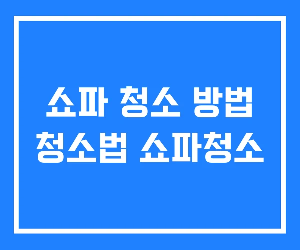 쇼파 청소 방법 청소법 쇼파청소 쇼파 청소 방법 청소법 쇼파청소