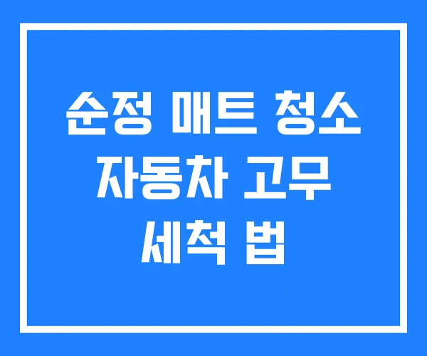 순정 매트 청소 자동차 고무 세척 법 순정 매트 청소 자동차 고무 세척 법