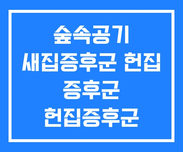 숲속공기 새집증후군 헌집 증후군 헌집증후군 해결방안