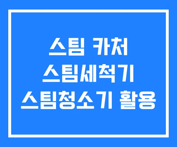 스팀 카처 스팀세척기 스팀청소기 활용 스팀 카처 스팀세척기 스팀청소기 활용