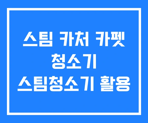스팀 카처 카펫 청소기 스팀청소기 활용