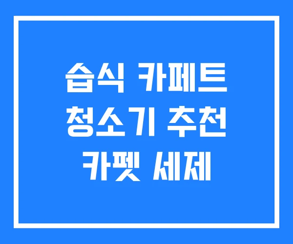 습식 카페트 청소기 추천 카펫 세제 습식 카페트 청소기 추천 카펫 세제