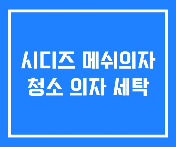 시디즈 메쉬의자 청소 의자 세탁 시디즈 메쉬의자 청소 의자 세탁
